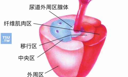 华佗冻疮膏副作用大吗-华佗冻疮膏副作用网 | 华佗痔疮膏使用说明书,华佗痔疮膏多少钱一盒