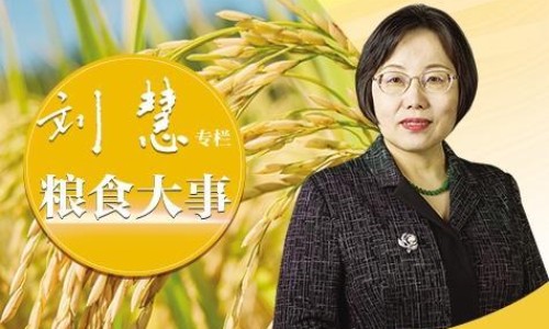 华佗痔疮膏的用法-华佗冻疮膏副作用网 | 华佗痔疮膏使用说明书,华佗痔疮膏多少钱一盒